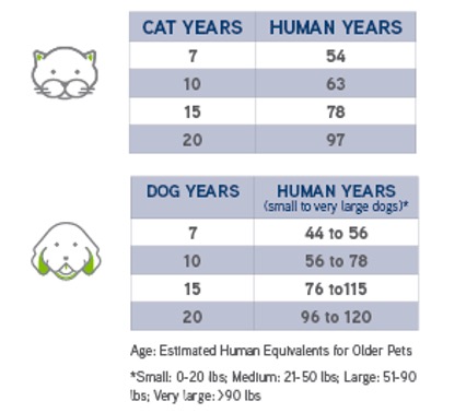 chart showing comparative ages of dogs and cats