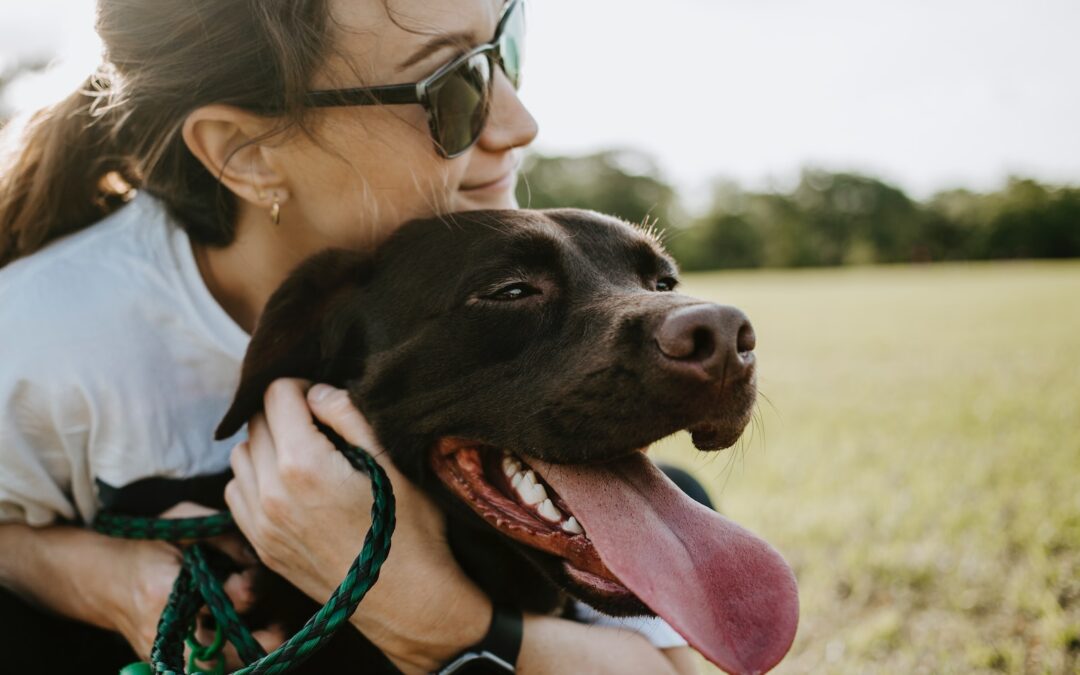 Best Dog-Friendly Parks in College Station, TX to Visit this Summer: A Guide to Fun and Safety