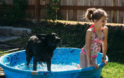 Prevent Heatstroke in Pets: Keep Your Pets Cool This Summer
