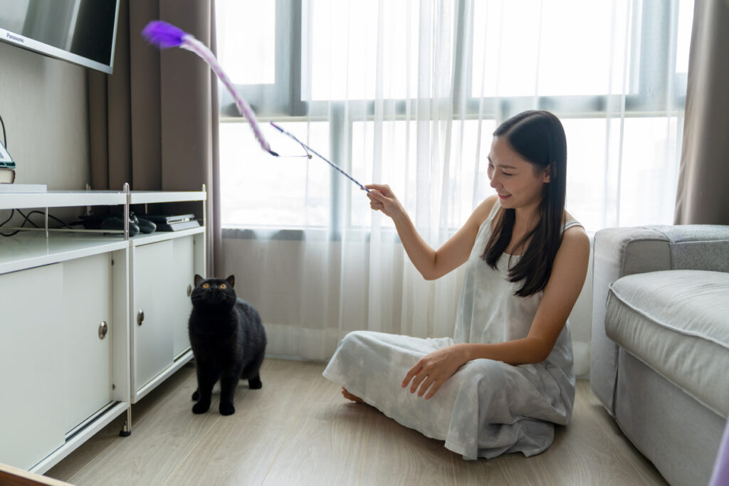 A person playing with a cat, Enhance Your and Your Pet’s Life by Being Active Together