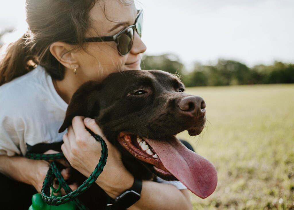 A person holding a dog, Building a Stronger Bond Through Activity