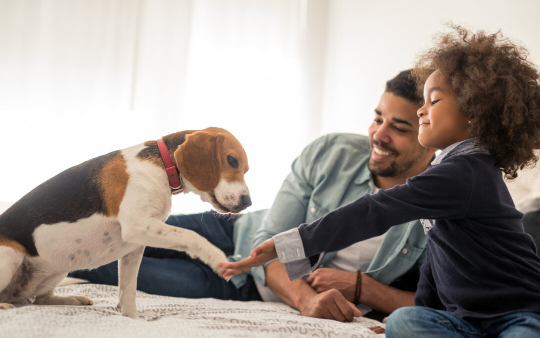 Heartworm Protection: How to Ward Off the Silent Killer