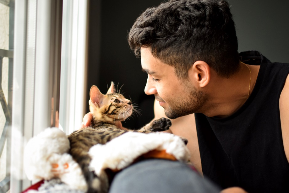 adopting a cat in June, A cat and a man starting into each others eyes
