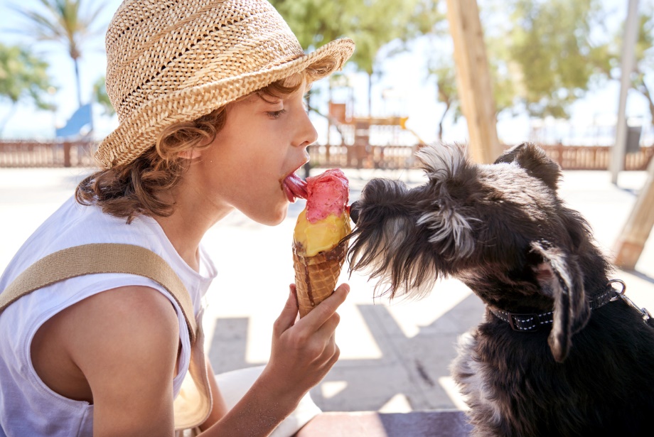 zoonotic diseases in dogs and cats, A boy and dog eating icecream
