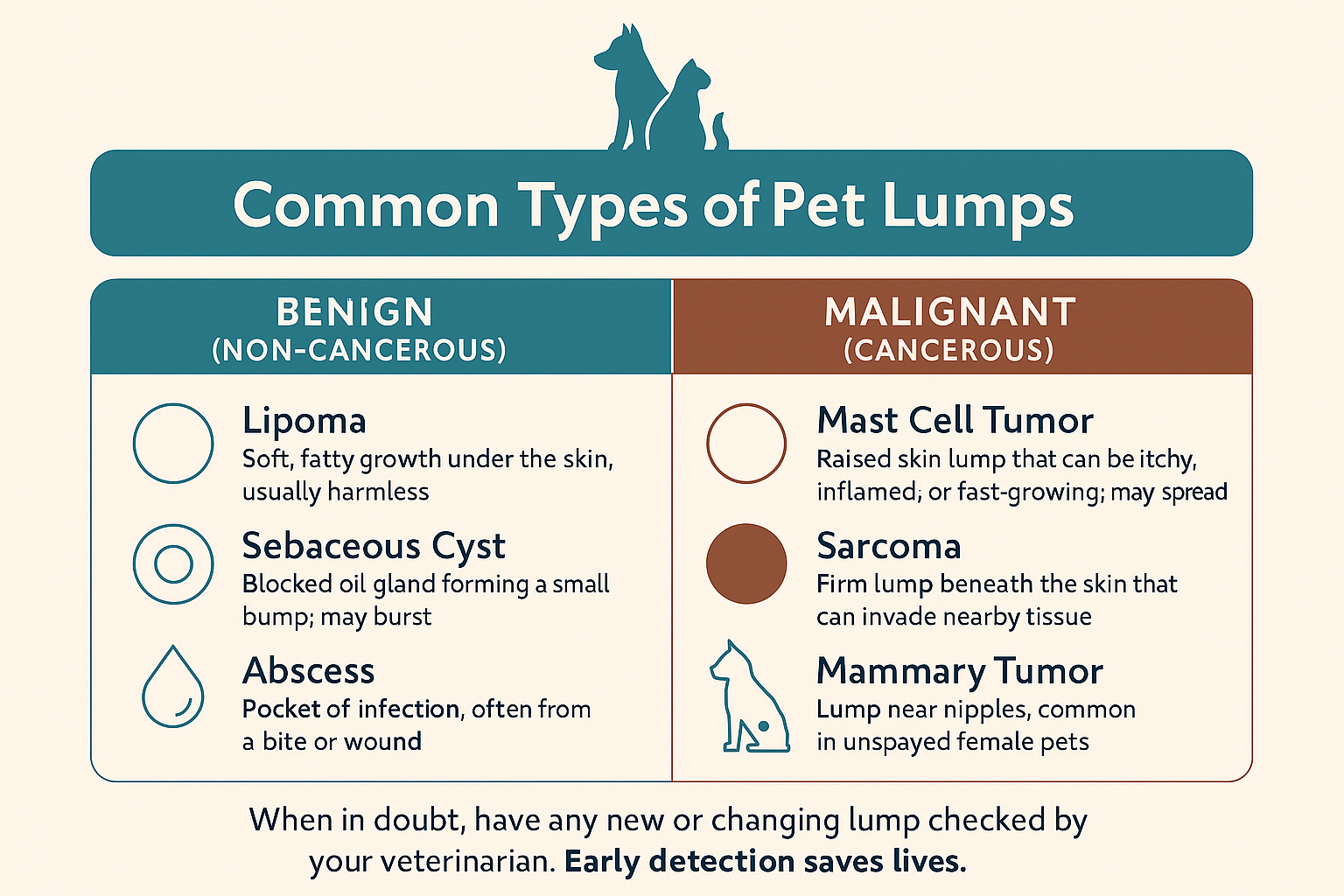 Pet Cancer Awareness, A chart showing different types of lumps in pets