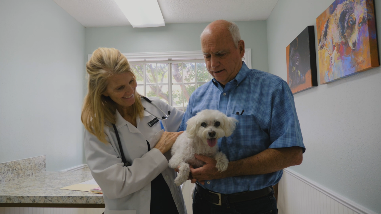 Pet Cancer Awareness, A person holding their dog while the vet looks at it