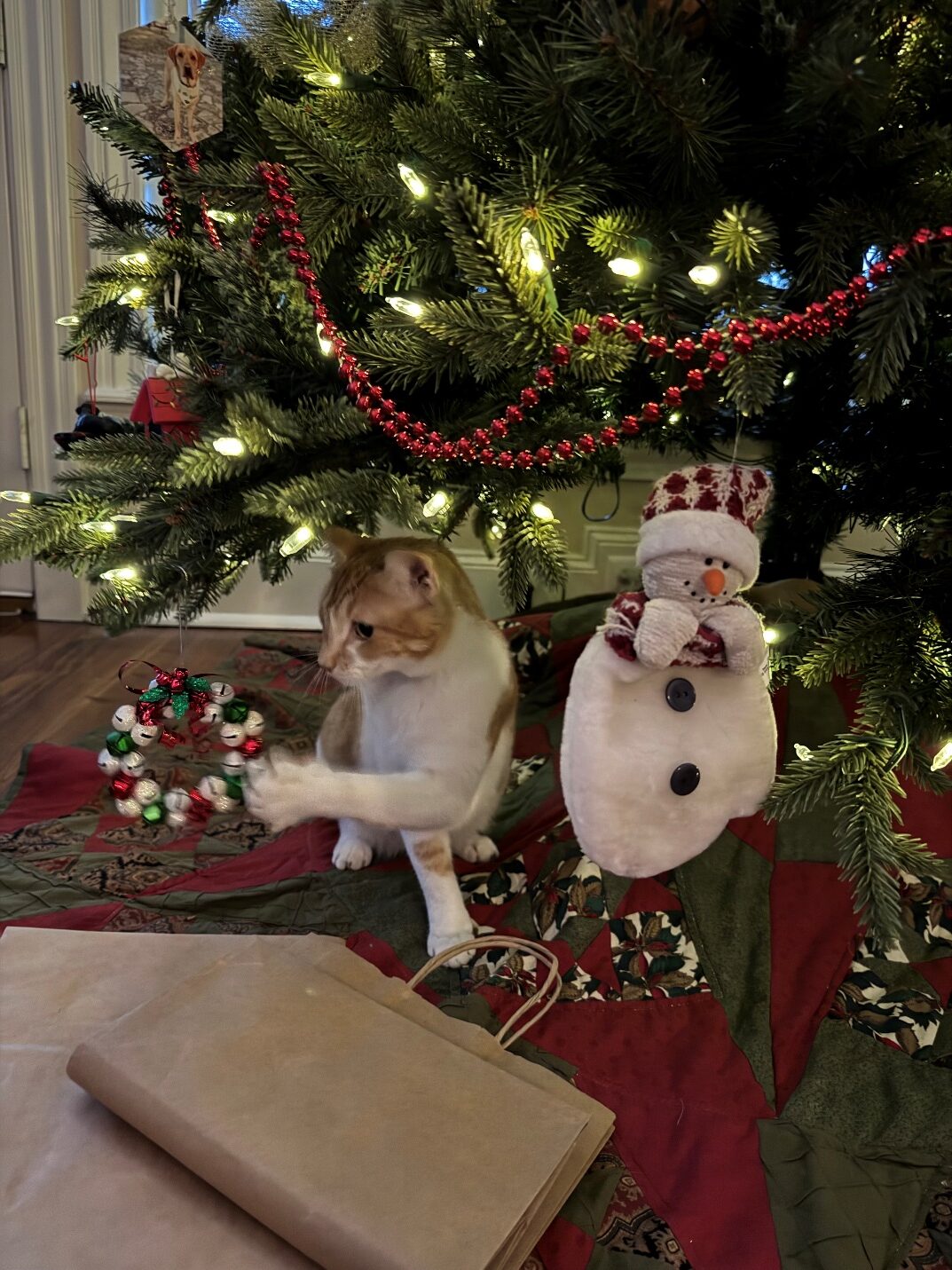 Holiday Pet Travel and Safety tips, A cat playing with christmas presents near a tree