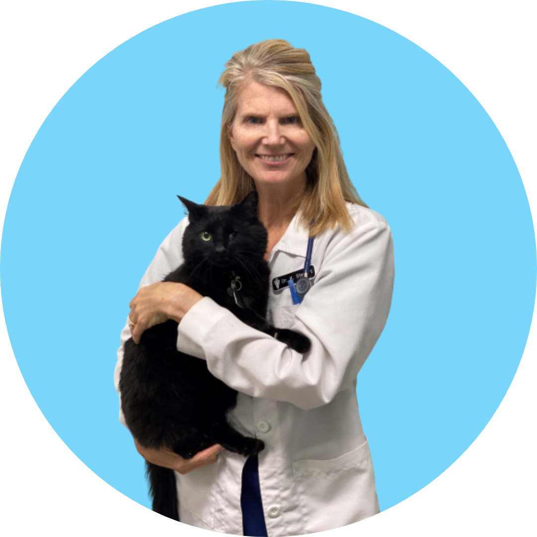 Dr. Stewart holding a black cat in front of a blue circle
