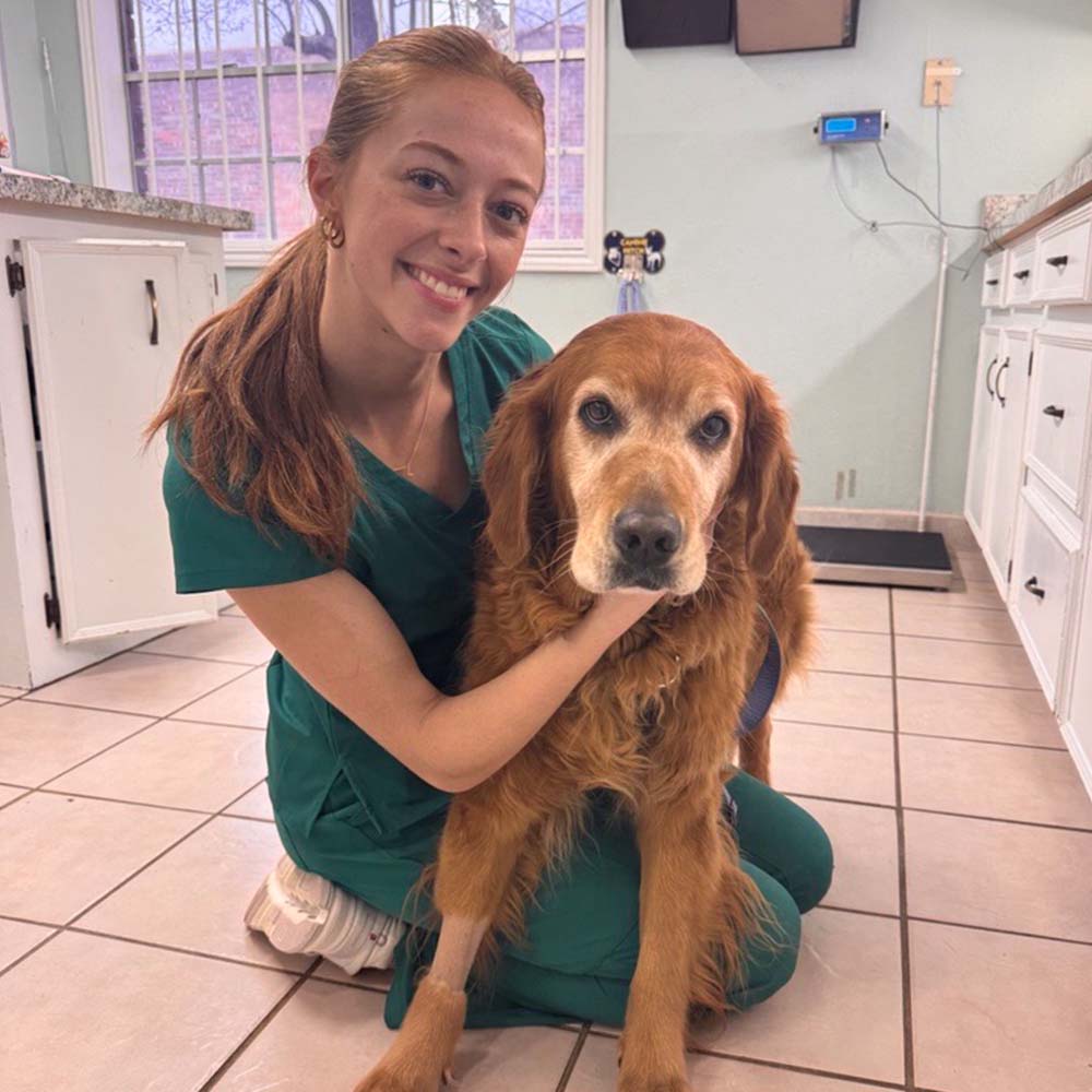 Veterinarian and golden retriever.