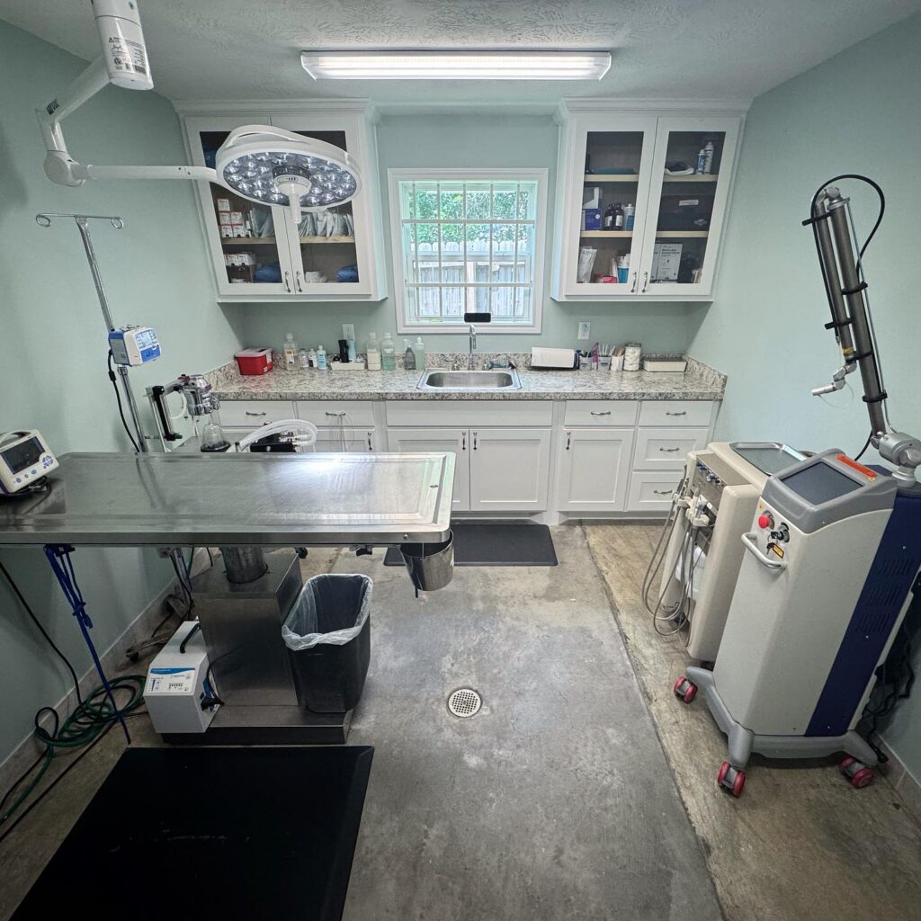 Veterinary exam room equipment