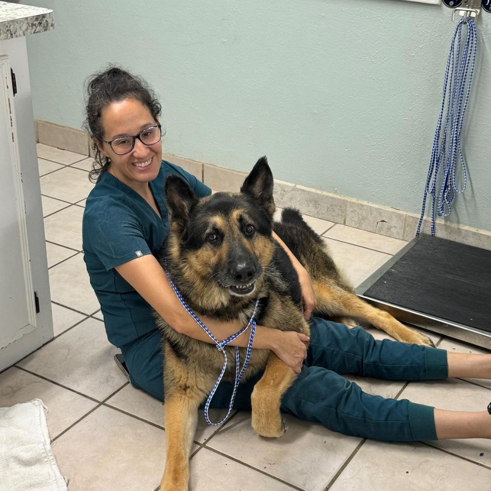 Woman, German Shepherd, smiling