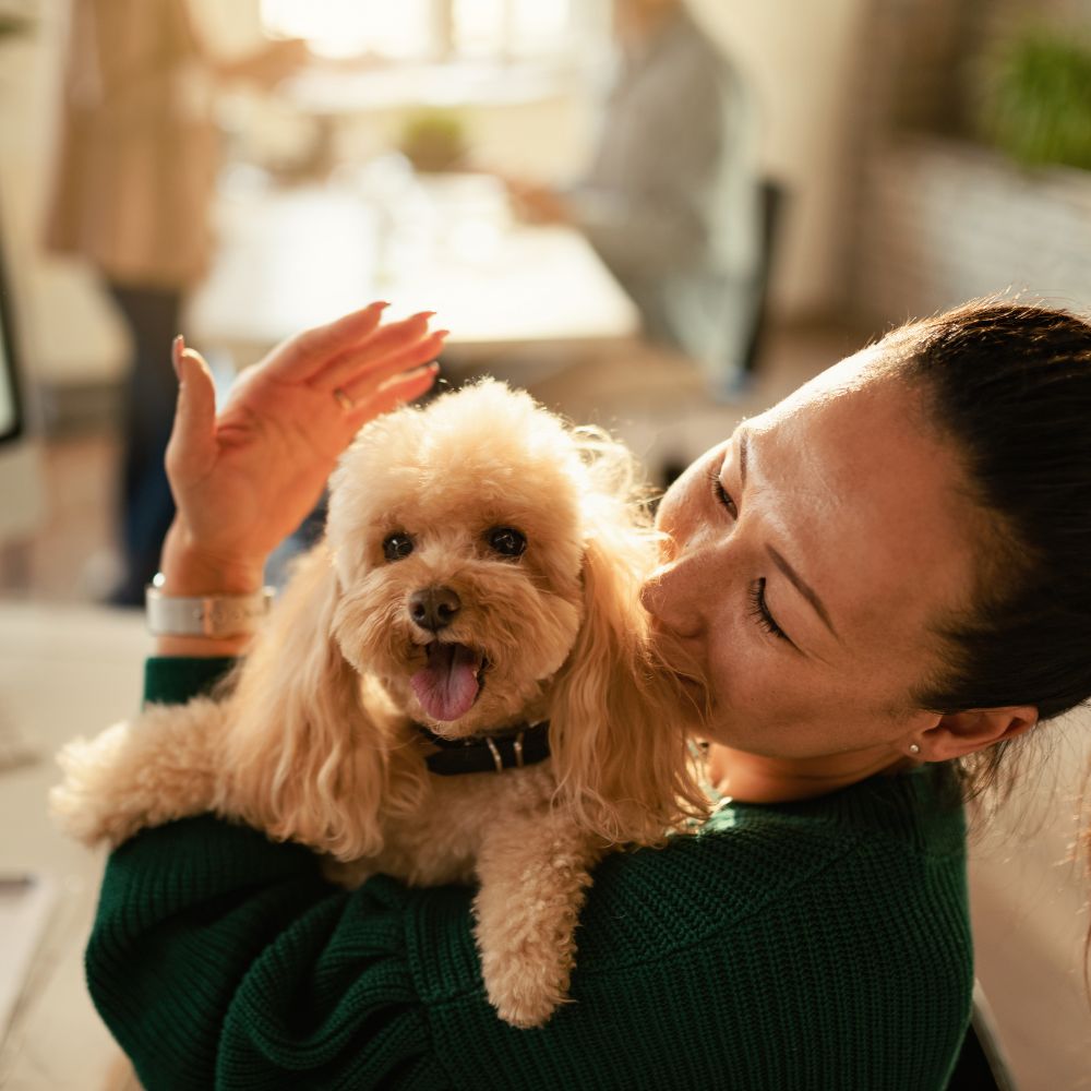Woman cuddling happy poodle dog
