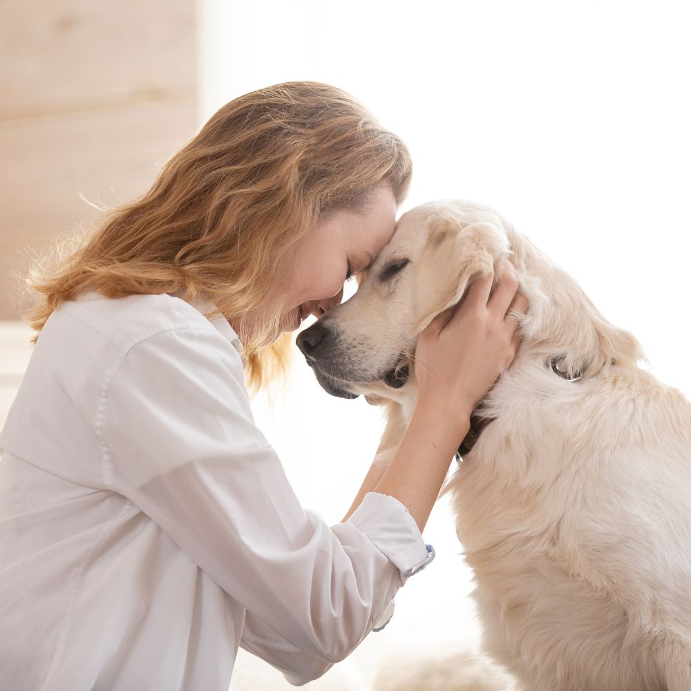 Woman embracing golden retriever