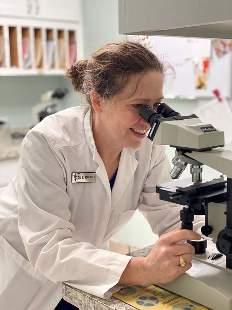dr mahoney microscope
